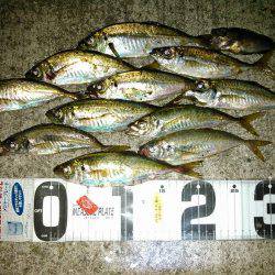 ドラグの大切さ